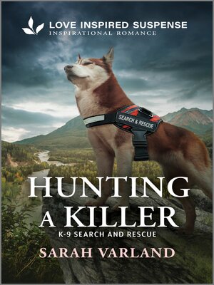 cover image of Hunting a Killer